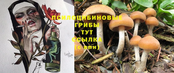 спайс Бородино