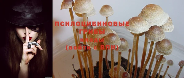 мдпв Бронницы