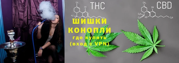 мдпв Бронницы