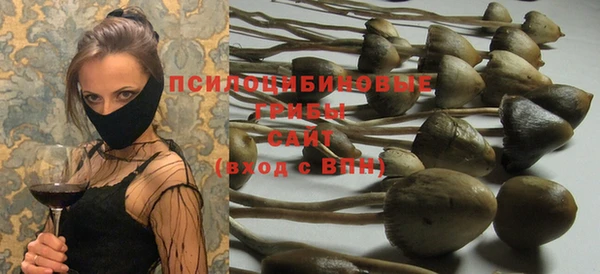 спиды Бугульма