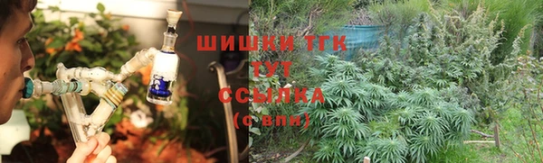 спайс Бородино