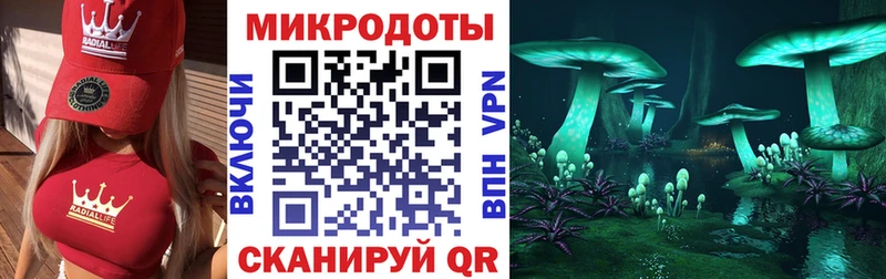 магазин продажи   Волгодонск  Псилоцибиновые грибы Psilocybine cubensis 